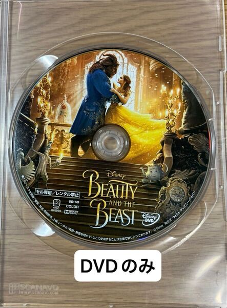美女と野獣 実写版 DVDのみ
