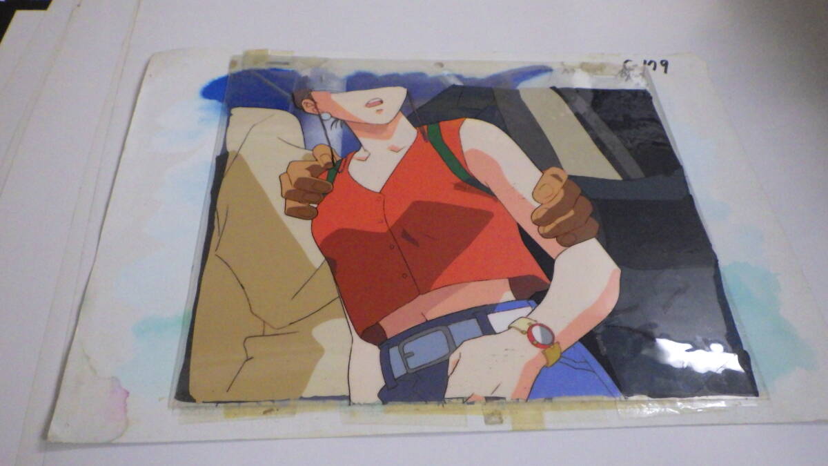  цифровая картинка / такой же класс сырой / фон имеется /X916