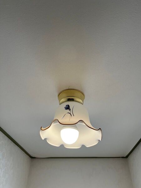 天井照明照明器具