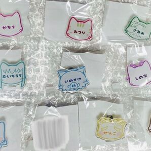鬼滅の刃 祭日和 ナンジャ ネームバッジ ぜんこ いのこ 無一郎など