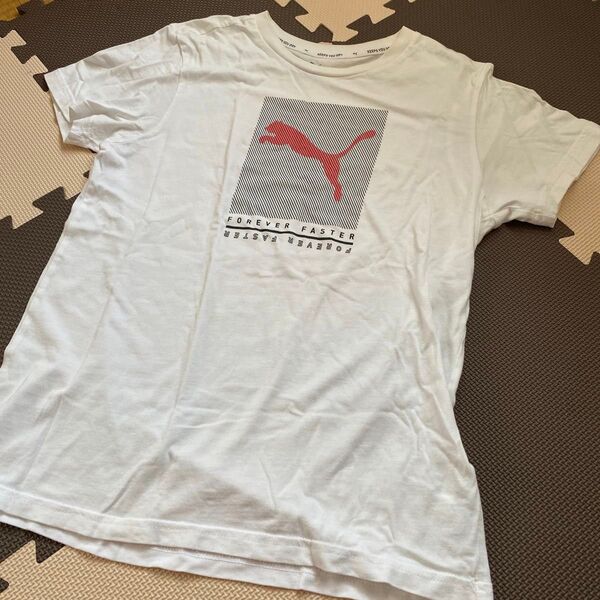 PUM Tシャツ 半袖 白 160センチ キッズ