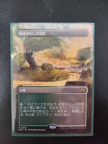 吹きさらしの荒野 拡張アート MTG