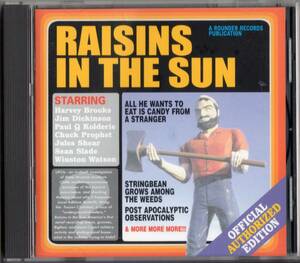 Raising In The Sun/Raising In The Sun【JulesShear&JimDickinson在籍】2001年*POWERPOPルーツロックパワーポップ