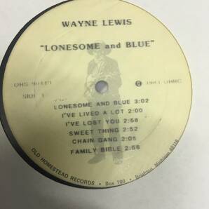 即決 Wayne Lewis Lonesome & Blue ブルーグラスLP盤 の画像4