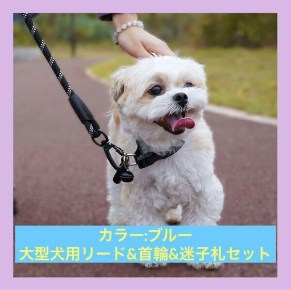 大型犬用 リード カラビナ 反射材料 ナイロン製 ブルー 迷子札付 5m