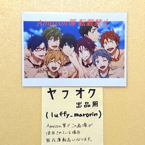 Free! 10th Anniversary Memories of Summer ブロマイド フリー 10周年 MS 限定 遙 真琴 怜 渚 凛 宗介 百太郎 愛一郎 岩鳶 鮫柄