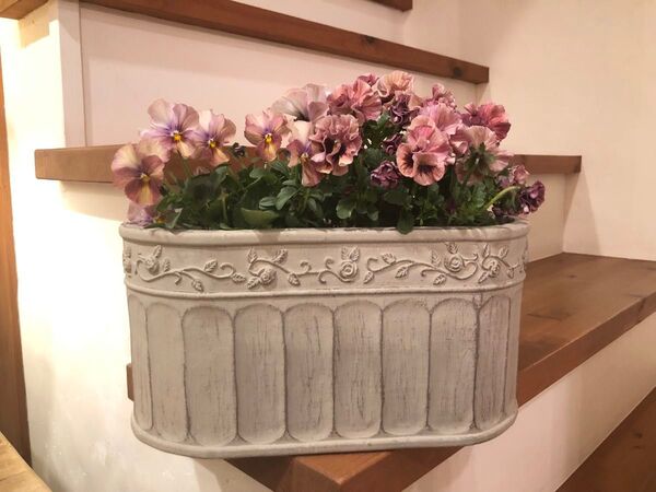 かわいい♪ ローズのグラスファイバー植木鉢 ベージュオーバル型 寄せ植え 園芸 ガーデニング ガーデン雑貨 園芸 寄せ植え