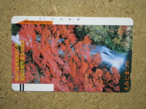 hana*110-2255 Meiji. лес . поверхность национальный парк . поверхность город туристический ассоциация клен ... не использовался 50 частотность телефонная карточка 