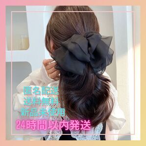 韓国 ビッグ リボン やわらかい 髪飾り ヘアクリップ Lpn2