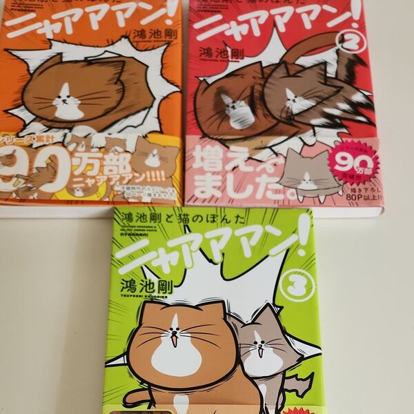 鴻池剛と猫のぽんたニャアアアン! 鴻池剛/著