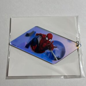 オーロラアクリルキーホルダー D100 MARVEL スパイダーマン