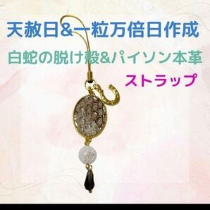 《413》 白蛇の脱け殻&パイソン本革 ストラップ