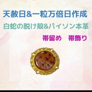 《437》 白蛇の脱け殻&パイソン本革 帯留め 帯飾り