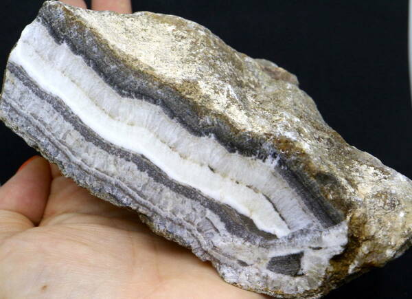 【送料無料】特大！カリフォルニア産 シルバーレースオニキス 636,4g 原石 SLO012 鉱物　天然石　パワーストーン