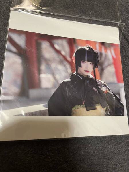 白雪姫乃 写真集 悲撃のヒロイン症候群 ヒロシン twinpale ツインペイル ギルギル ヒロインズ