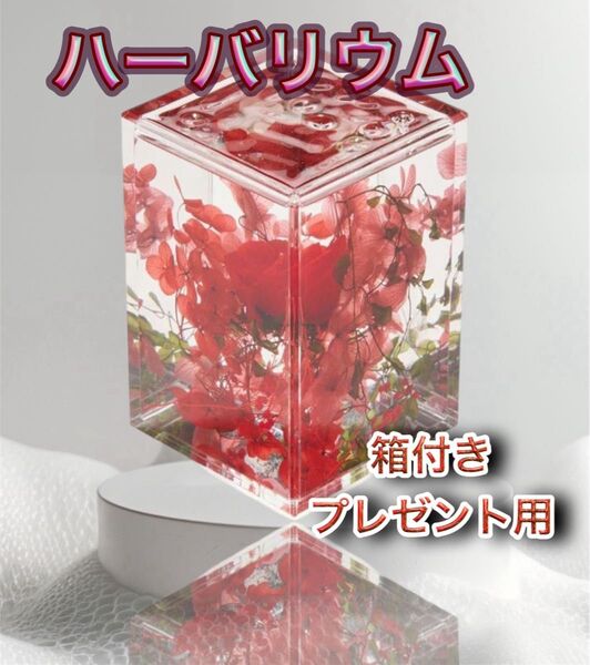【お買い得】ハーバリウム フラワーアート hikka ヒッカ 赤色 花 レッド ダイヤモンド ブルームアクア ブロック 贈答品