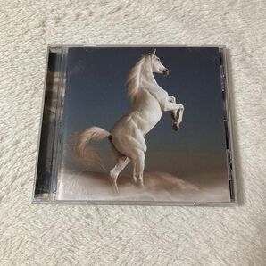 髭 サンシャイン