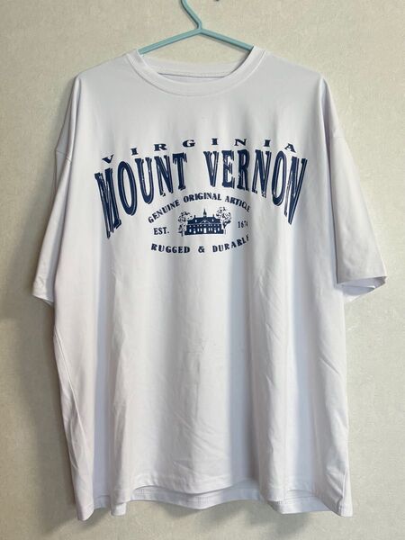 ビッグTシャツ