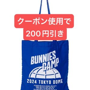 BUNNIES CAMP 2024 TOKYO DOME トートバッグ newjeans ブルー 青 東京ドーム
