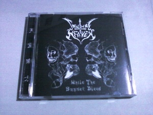 送料込 South Of Heaven - While The Sunset BleedT☆Rampancy Necroabbot Black Metal 