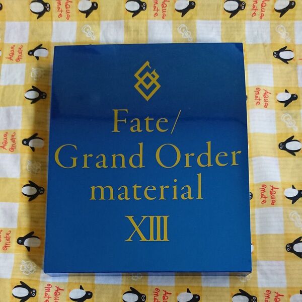 Fate/Grand Order material XIII
