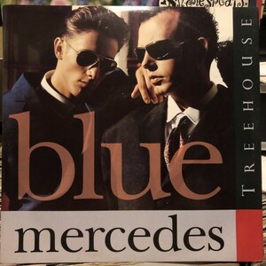 Blue Mercedes / Treehouse