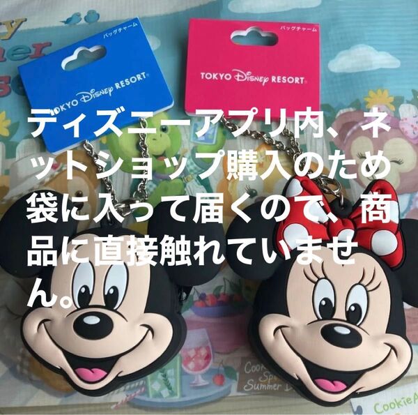 ディズニー ミッキー ミニー コインケース キーホルダー バッグチャーム