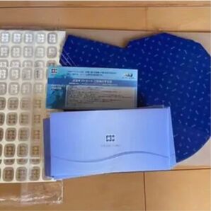 ギフト券入れ 30枚セット
