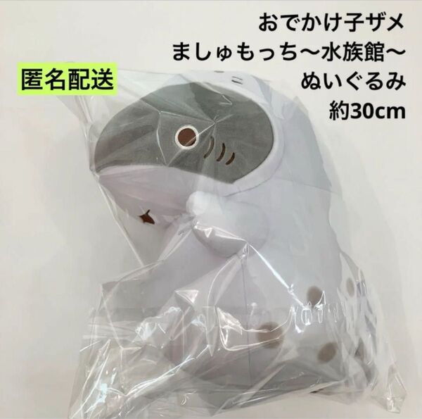 新品 おでかけ子ザメ ましゅもっち ~水族館~ ぬいぐるみ 約30cm ③