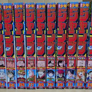 週刊少年ジャンプ 2024年24号→33号 抜け無し 10冊セット おまけ付き☆彡