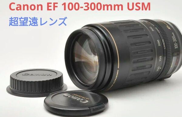 5月11日限定価格♪Canon EF 100-300mm F4.5-5.6