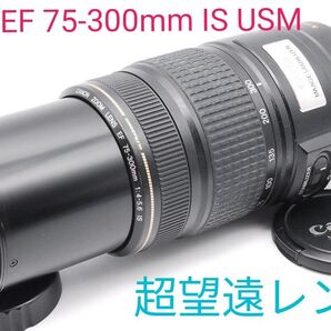 11月4日限定価格♪【大人気】Canon EF 75-300mm IS USM