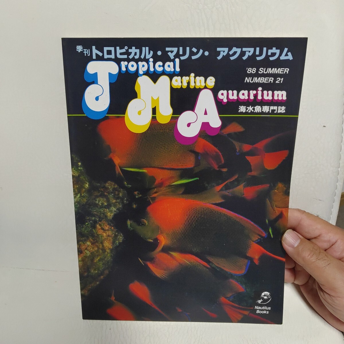2025年最新】Yahoo!オークション -海水魚(観賞魚)の中古品・新品 2025年最新】Yahoo!オークション -海水魚(観賞魚)の中古品・新品