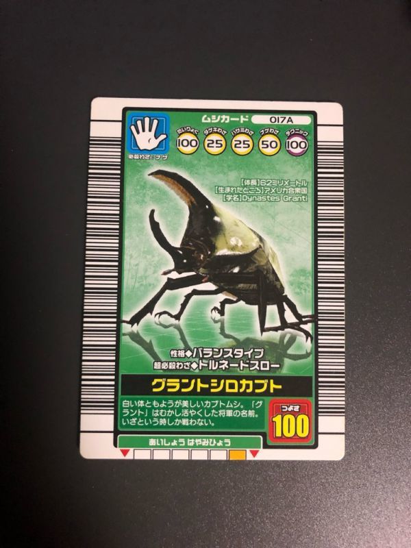 ヤフオク! -ムシキンググラントシロカブトの中古品・新品・未使用品一覧