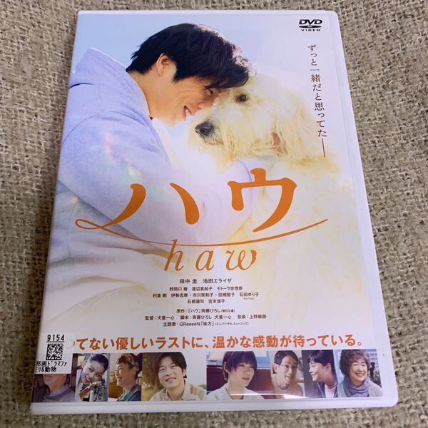 【新品ケースに交換済み・送料無料】 ハウ how DVD レンタル落ち 田中圭 池田エライザ