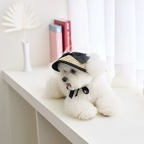 Sサイズ 犬 帽子 サンバイザー キャップ 撮影会 可愛い ドレスアップ アクセサリー 麦わら 小型犬 ブラック リボン AB0017