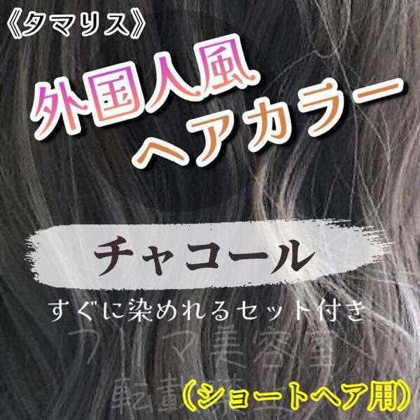 タマリス すぐに染めれる ヘアカラー セット chacol 12 トリートメント付属割あり