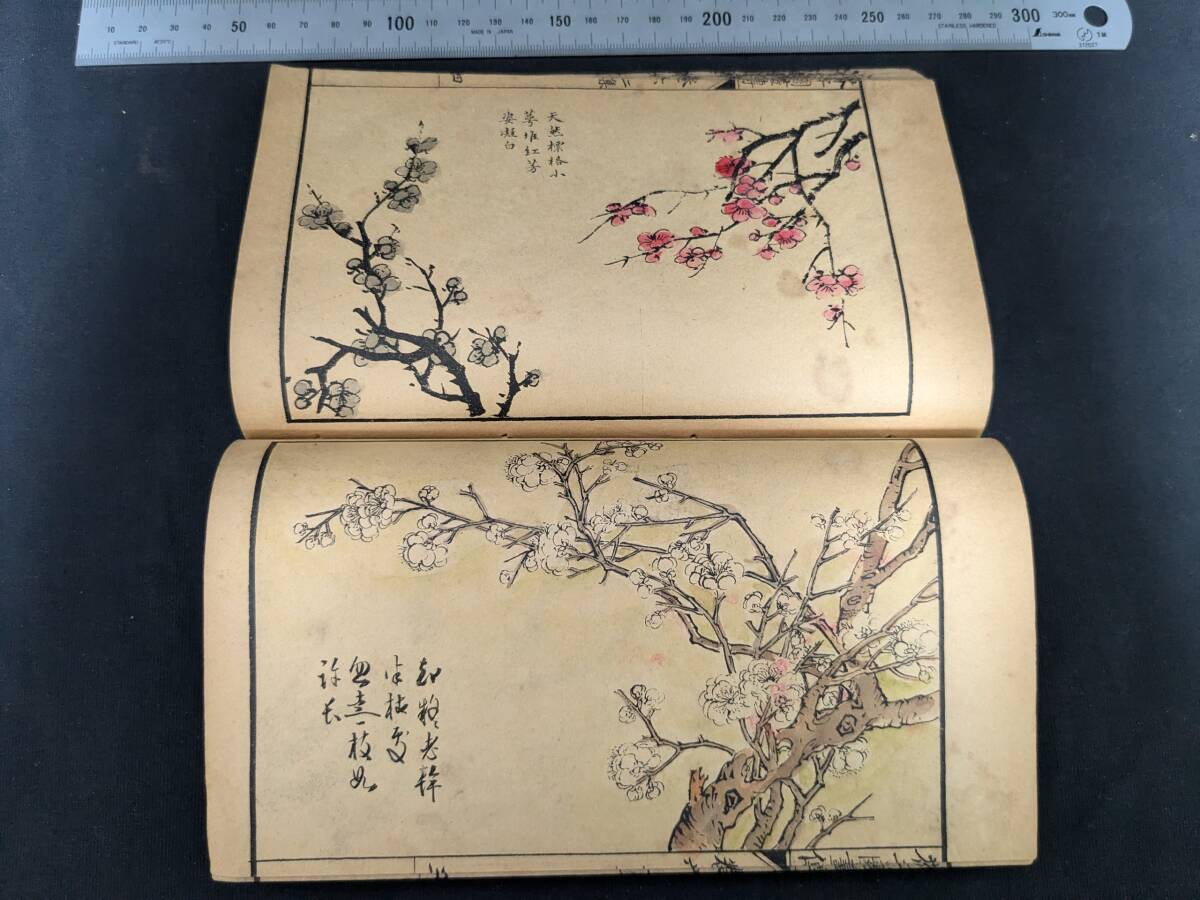 中国 唐本 芥子園画伝 8冊 不揃い 民国甲寅年 上海共和書局 石版 中国 唐本 芥子園画伝 8冊 不揃い 民国甲寅年 上海共和書局 石版