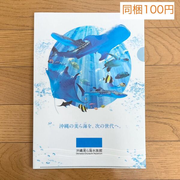 沖縄美ら海水族館 うみちゅらら クリアファイル A4クリアファイル