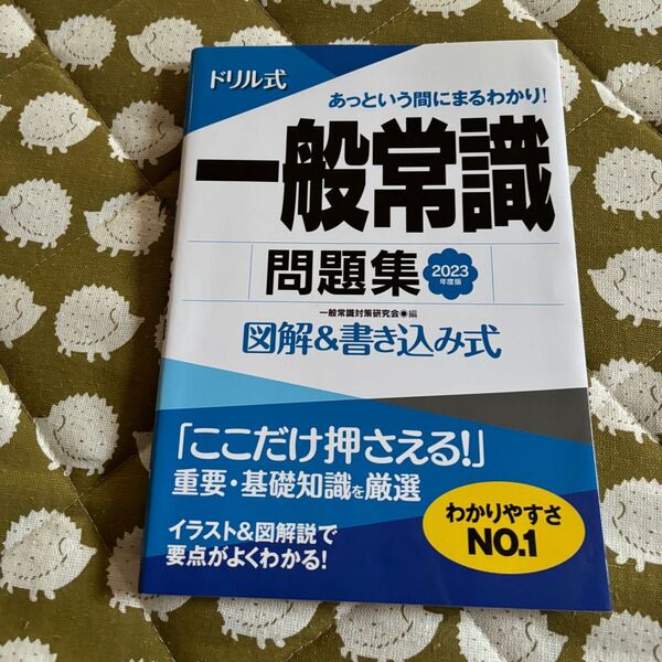 ドリル式一般常識問題集 図解&書き込み式 2023年度版 (NAGAOKA就職シリーズ) 一般常識対策研究会/編