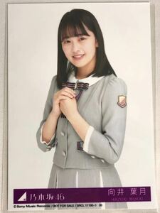 Art hand Auction 乃木坂46向井叶月实况照片Chu第23张CD单曲唱出！首次奖金不可出售, 纳线, 的, 乃木坂46