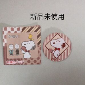 缶バッジ 刺繍缶バッジ スヌーピー SNOOPY PEANUTS ピーナッツ ラテカラー アクセサリー グッズ 新品未使用