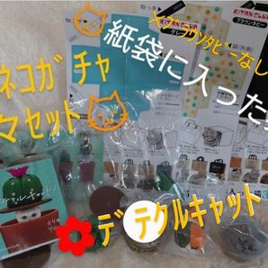 猫のガチャ色々 デテクルキャット! 紙袋に入った猫3 猫雑貨 ガチャガチャ