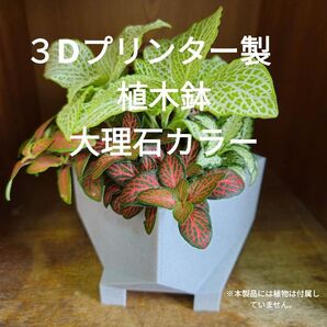 3Dプリンター製植木鉢 PLA 大理石カラー