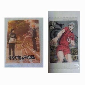 カテ変○ ハイキュー展 10周年記念展 入場者特典カードなど