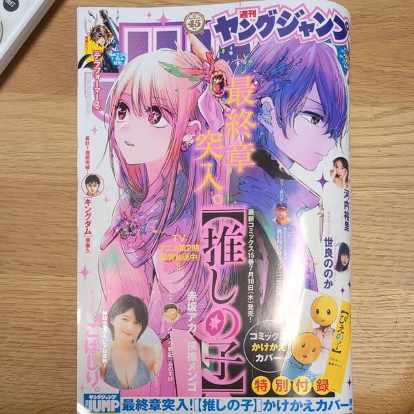 週刊ヤングジャンプ 31号