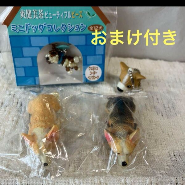 未使用 コーギー マグネット おやすみ 2個 おまけ付き 癒し 犬 ウェルッシュコーギー