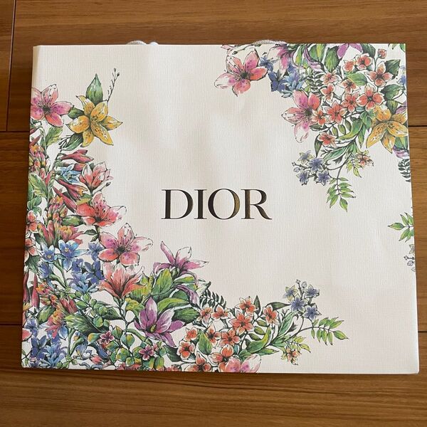 Christian Dior ショッパー 1枚 23×27×11.5 限定 ギフト ショップ袋 ラッピング