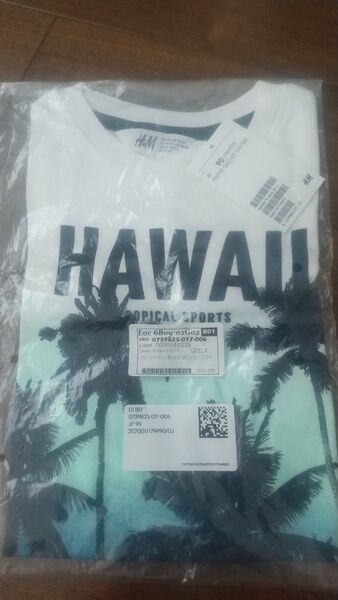 新品 H&M Tシャツ H&M Tシャツ Tシャツ 90cm ハワイTシャツ