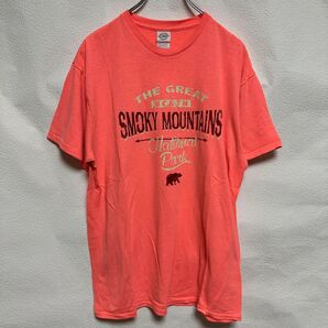 【Used】DELTA デルタ 前面プリントクルーネックTシャツ L ピンク 古着